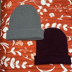 Pair of Knit Beanies